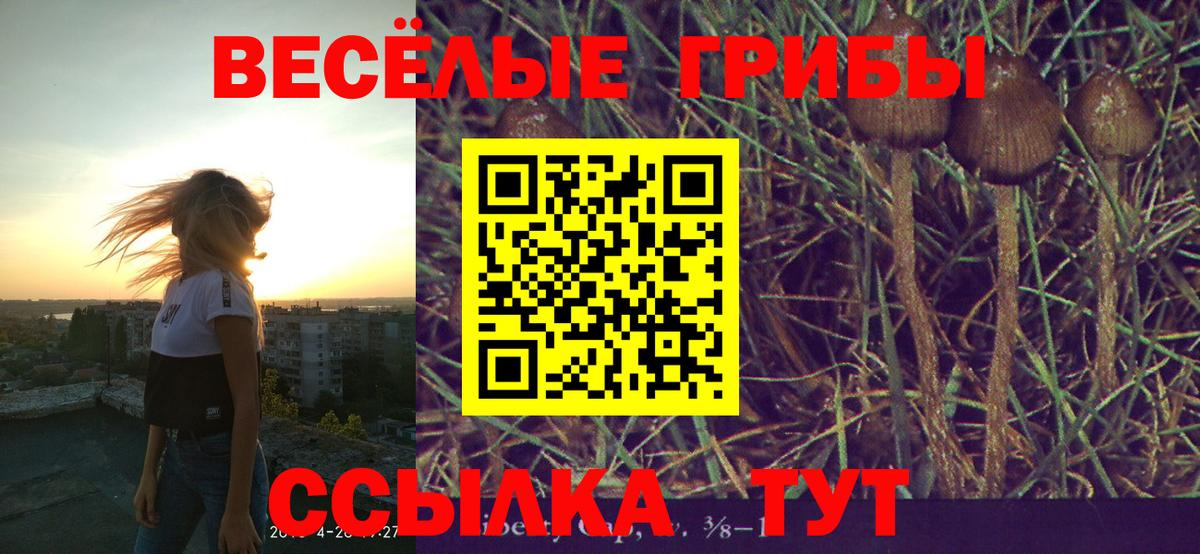 Псилоцибиновые грибы мицелий Кушва